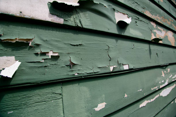 Best Commercial Junk Removal  in Wilder, KY